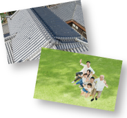 飛びうしのドローン撮影